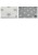 il_fullxfull.6807426016_b7nz.jpg